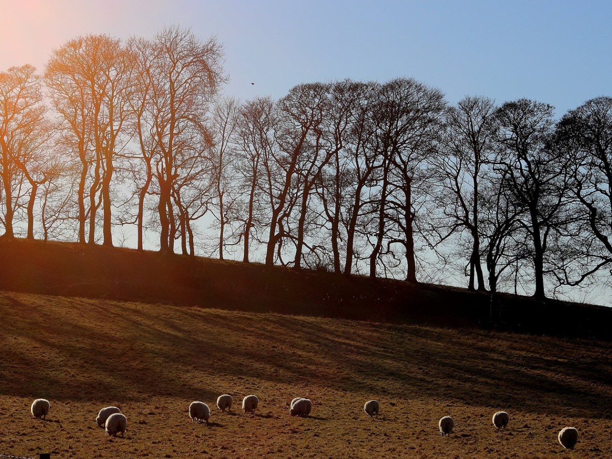 5 Reasons to Get Outside Every Day When Living with&nbsp;Arthritis